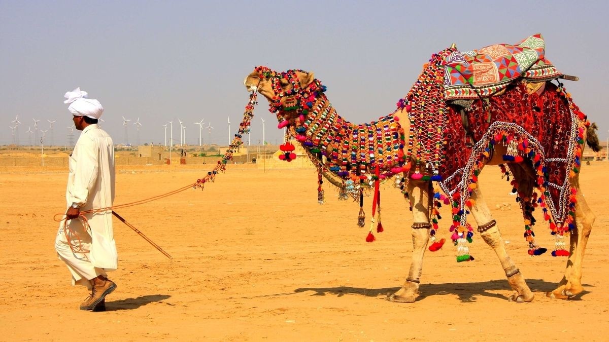 Royal Rajasthan Journeys